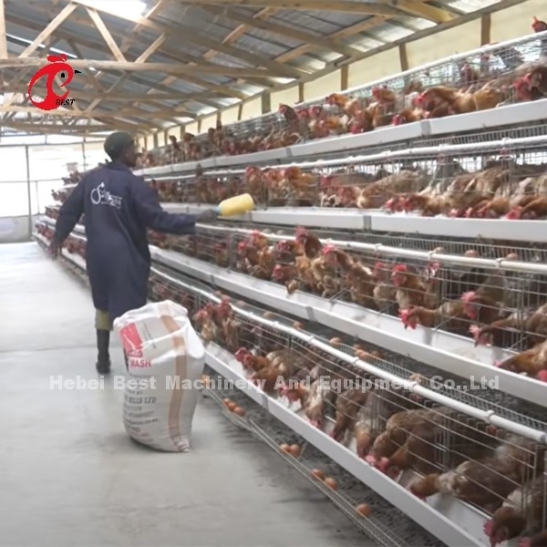 La Cina ha importato la gabbia in batteria rivestita ISO9001, porta del pollo del sistema 4 della gabbia del pollo di strato sabbiosa