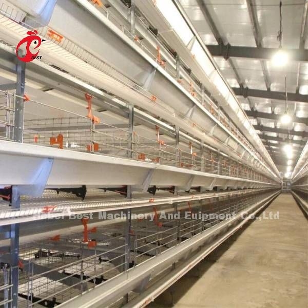 Prezzo automatico completo della gabbia in batteria nel tipo strato Mia della Nigeria H