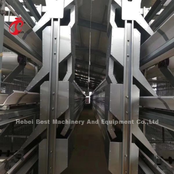 Galvanizzato allevamento di pollame Un tipo di sistema di gabbia automatica per strati In Nigeria popolare rosa
