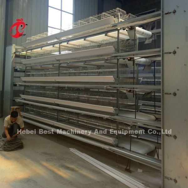 Tipo completo gabbie in batteria automatiche di H del pollo di strato 500 uccelli Adela