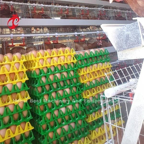 Lo strato popolare dell'uovo di alta qualità di avicoltura della gabbia di strato del sistema automatico della gabbia ingabbia Rosa