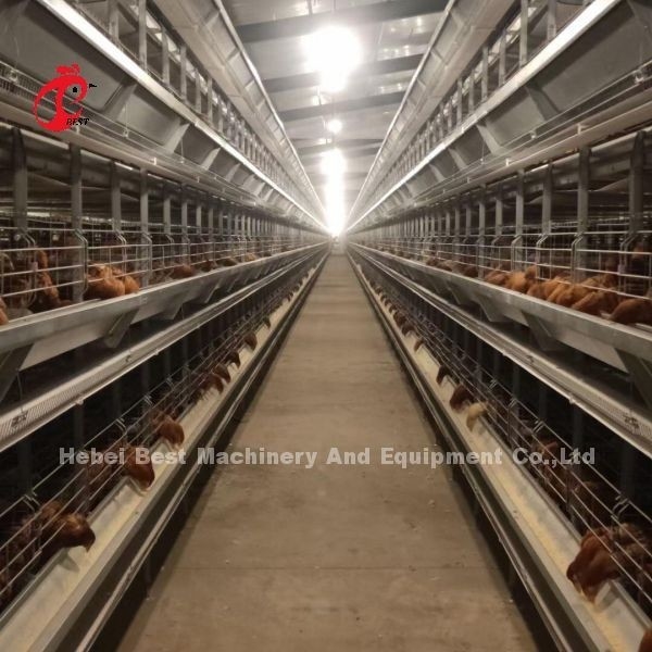 La maggior parte tipo popolare sistema automatico di H della gabbia di avicoltura per la grande azienda agricola Adela