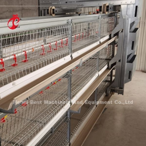 Nastro metallico di 4 alto di durezza di Tires di strato gabbie in batteria del pollo con il serbatoio di acqua Rosa