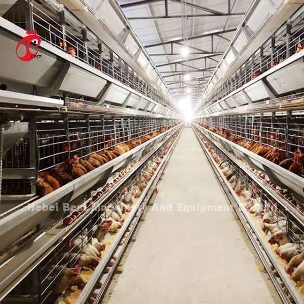 sistema della gabbia di avicoltura di 2.2m, gabbia in batteria di 9 Tires per gli strati Rosa