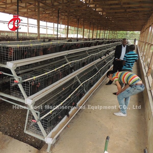 Un tipo 3 stella degli uccelli 450cm2 delle gabbie in batteria 120 del pollo di strato di Tires