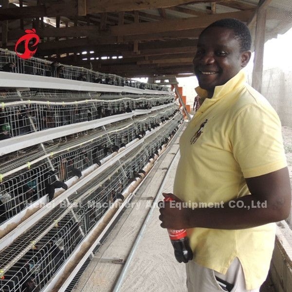 Un tipo 160 sistema della gabbia in batteria di strato di capacità, gabbia del pollo di deposizione delle uova sabbiosa