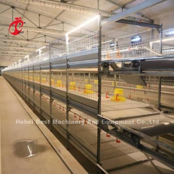 Tipo CE della gabbia del pollo da carne, attrezzatura automatica piena Adela di H della gabbia della griglia